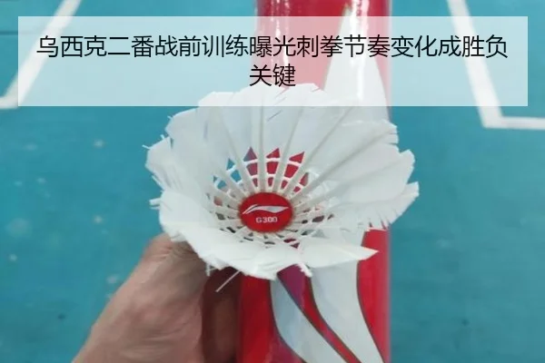 乌西克二番战前训练曝光刺拳节奏变化成胜负关键